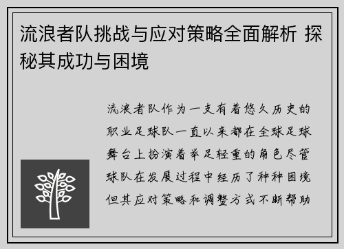 流浪者队挑战与应对策略全面解析 探秘其成功与困境