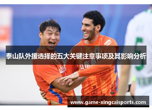 泰山队外援选择的五大关键注意事项及其影响分析
