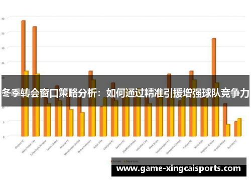 冬季转会窗口策略分析：如何通过精准引援增强球队竞争力