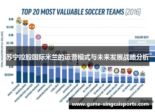 苏宁控股国际米兰的运营模式与未来发展战略分析