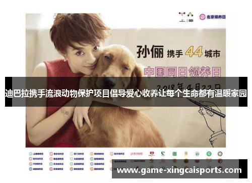 迪巴拉携手流浪动物保护项目倡导爱心收养让每个生命都有温暖家园