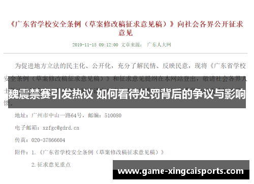 魏震禁赛引发热议 如何看待处罚背后的争议与影响
