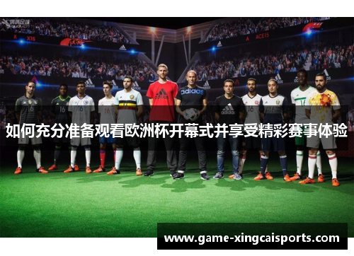 如何充分准备观看欧洲杯开幕式并享受精彩赛事体验